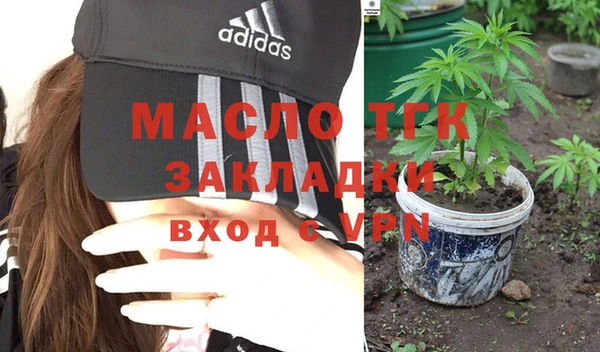 скорость Вяземский