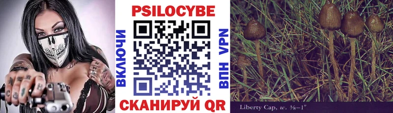Купить где  Приморско-Ахтарск  Галлюциногенные грибы Psilocybe 